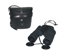 http://www.zjpgs.com.cn/